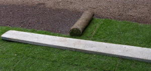 Landshaft_522eea41e6ddd