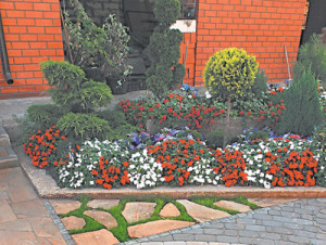 Landshaft_522eeab454f3c