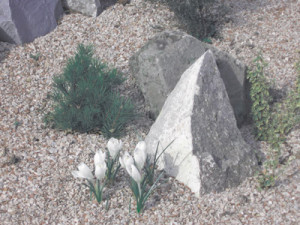 Landshaft_522eeab65a5c6