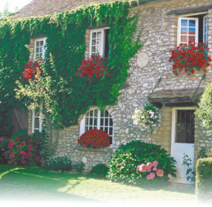 Dizayn-interera_522ee71c52ecc