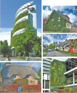 Dizayn-interera_522ee71e712c0