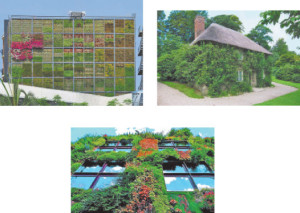 Dizayn-interera_522ee7209b79c