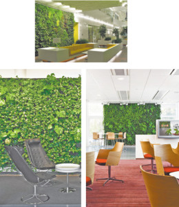 Dizayn-interera_522ee7216b248