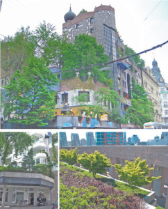 Dizayn-interera_522ee72325f0b