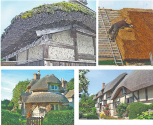 Dizayn-interera_522ee7254b0db