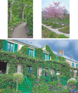 Dizayn-interera_522ee72683944