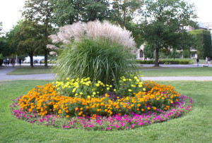 Landshaft_522eea26a730e