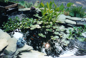 Landshaft_522eea0f7629b